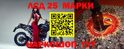 кокс Нарткала