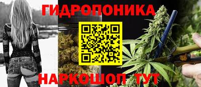 кокс Нарткала