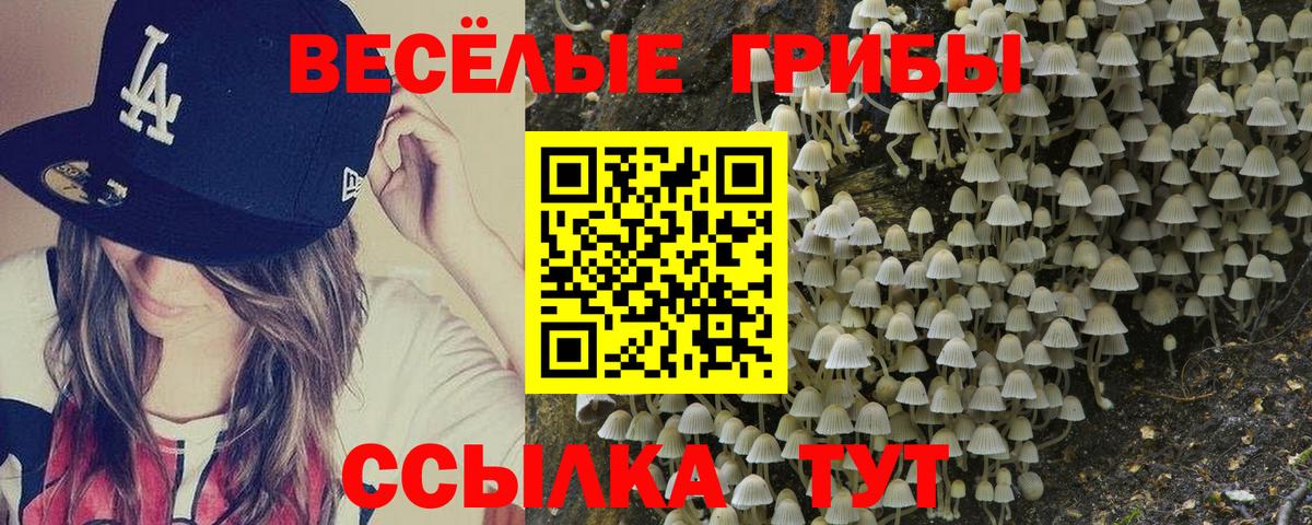 дарнет шоп  Галлюциногенные грибы Cubensis  Вход с VPN  Унеча 